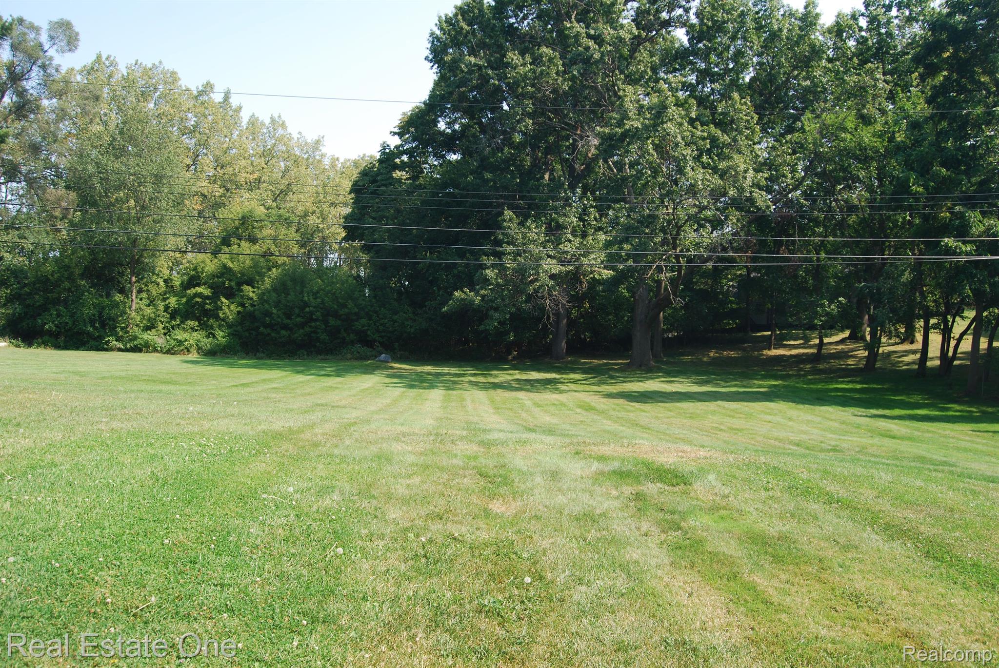 000 ORCHARDALE DR