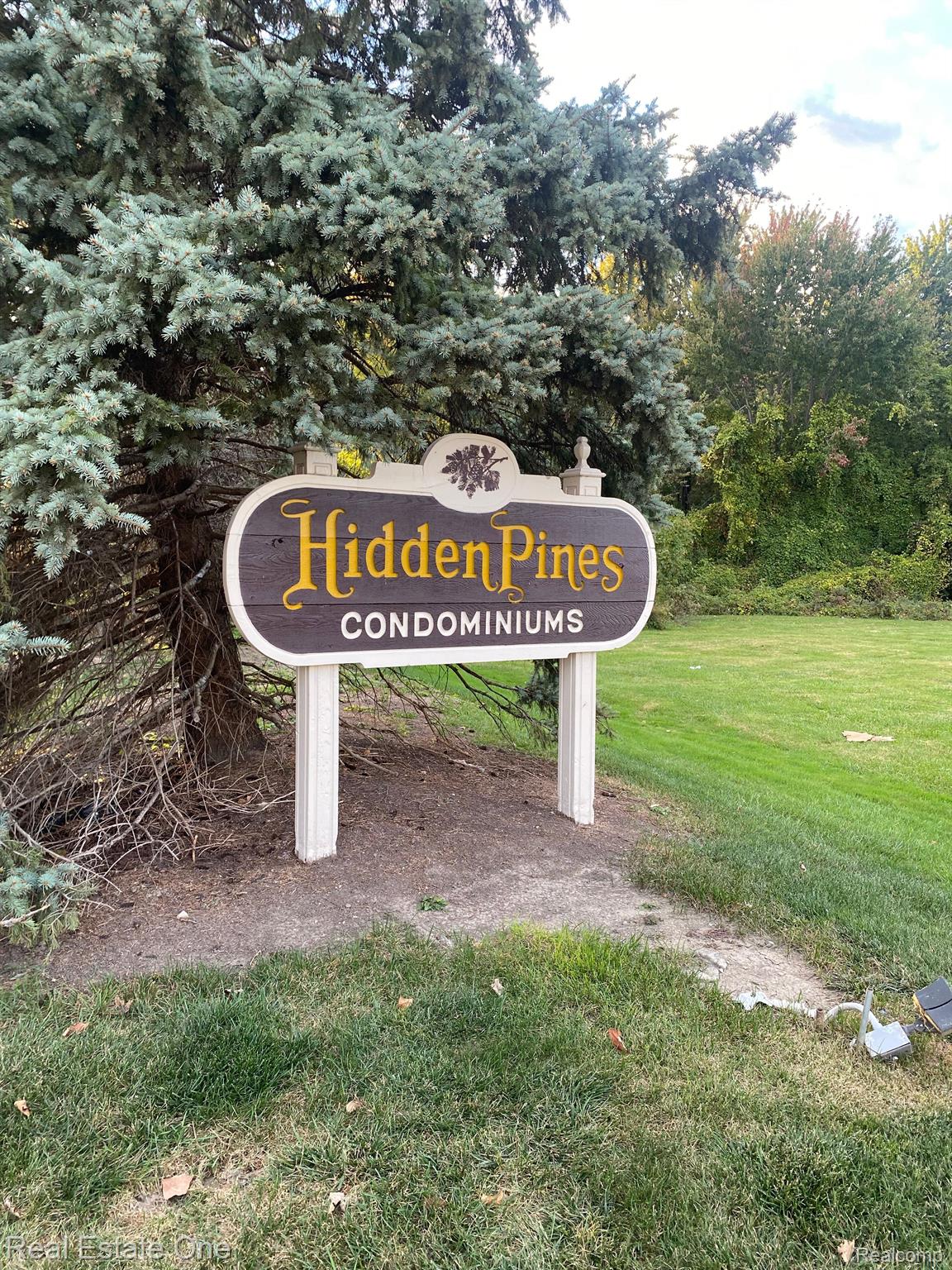 30767 HIDDEN PINES LN 28