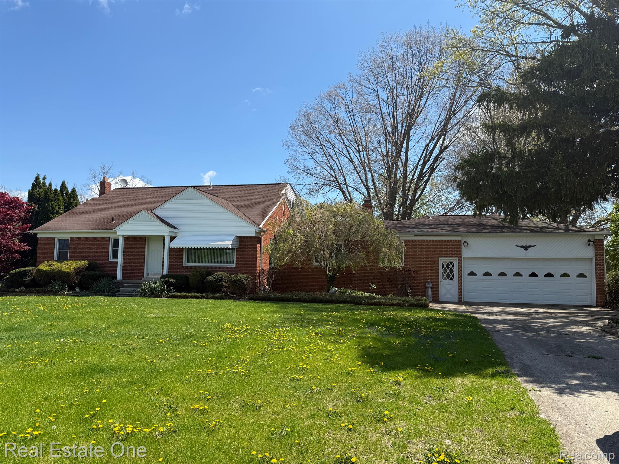 50590 Card RD