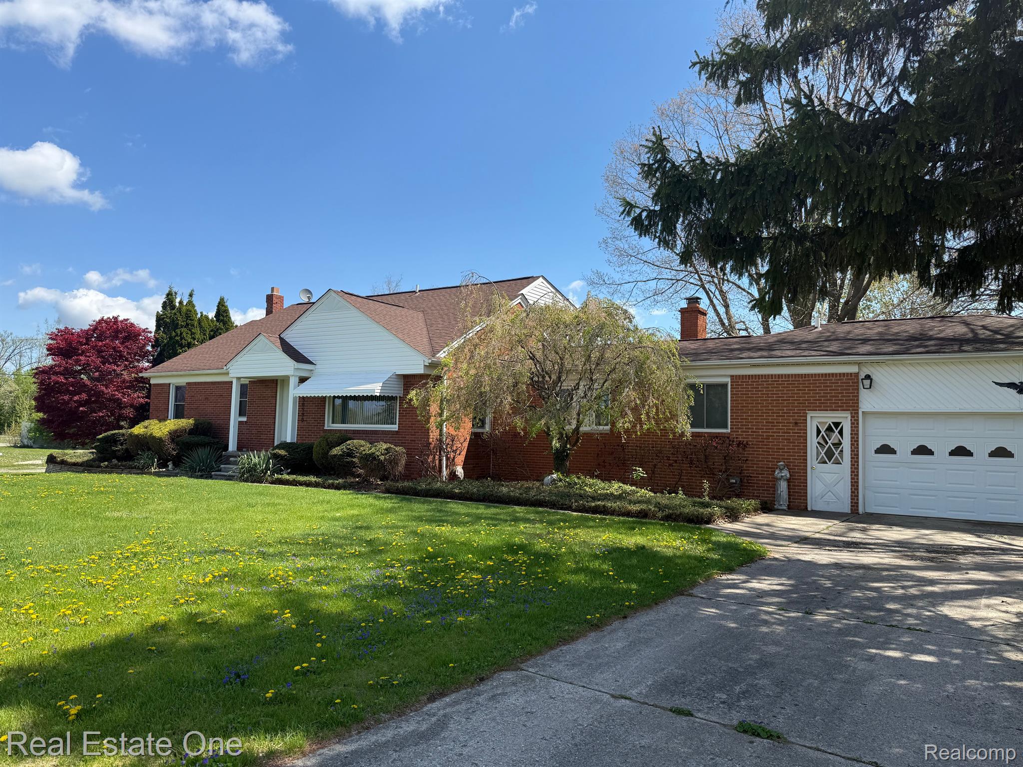 50590 Card RD