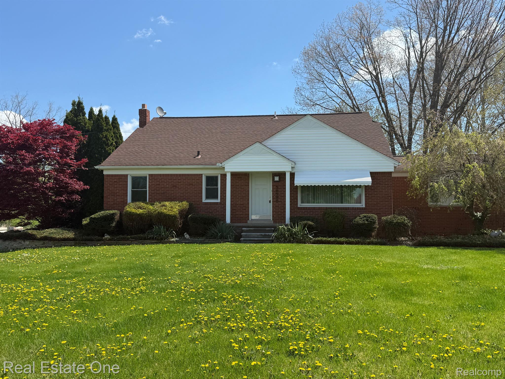50590 Card RD