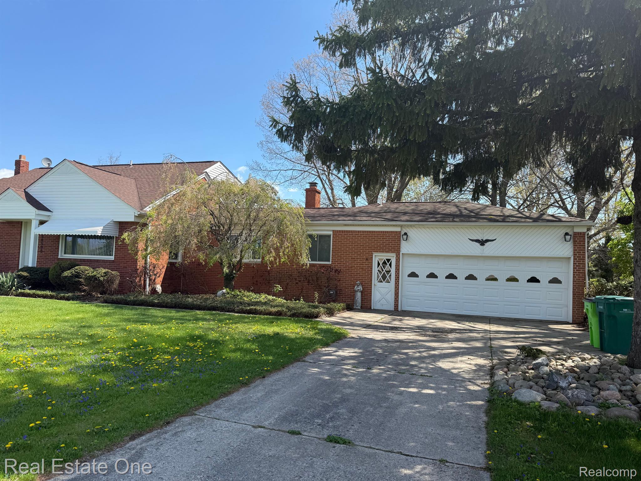 50590 Card RD