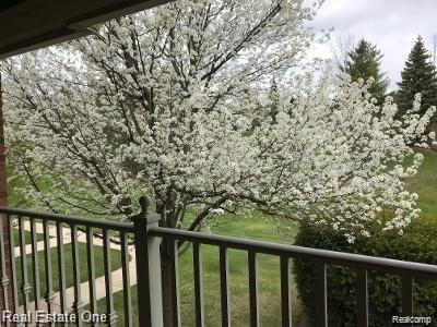3578 OAKMONTE BLVD 96 9 Unit:  96