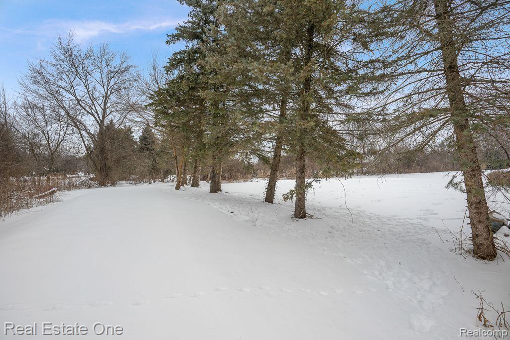 2980 LONG WINTER LN