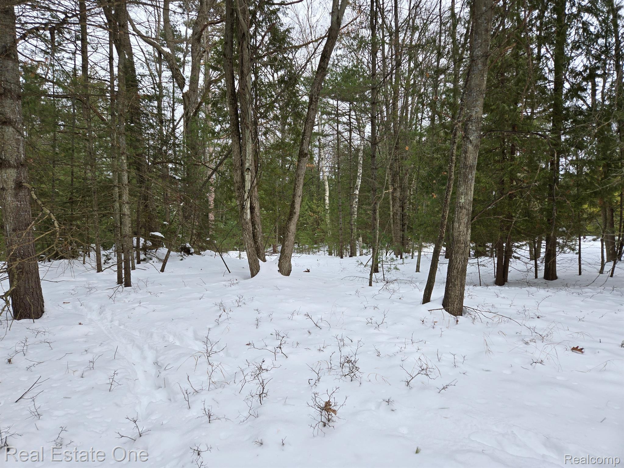 7289 WOODLEA RD