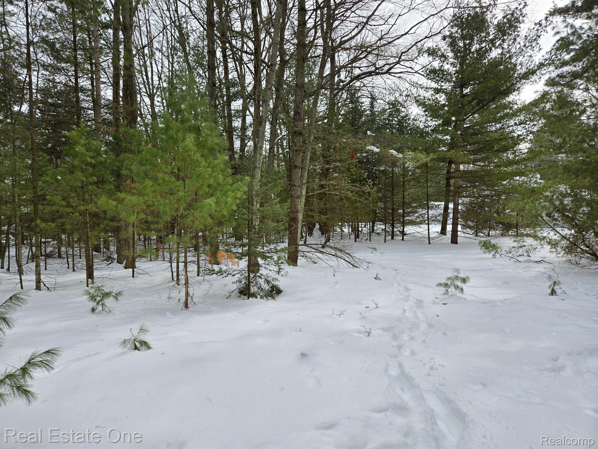 7289 WOODLEA RD