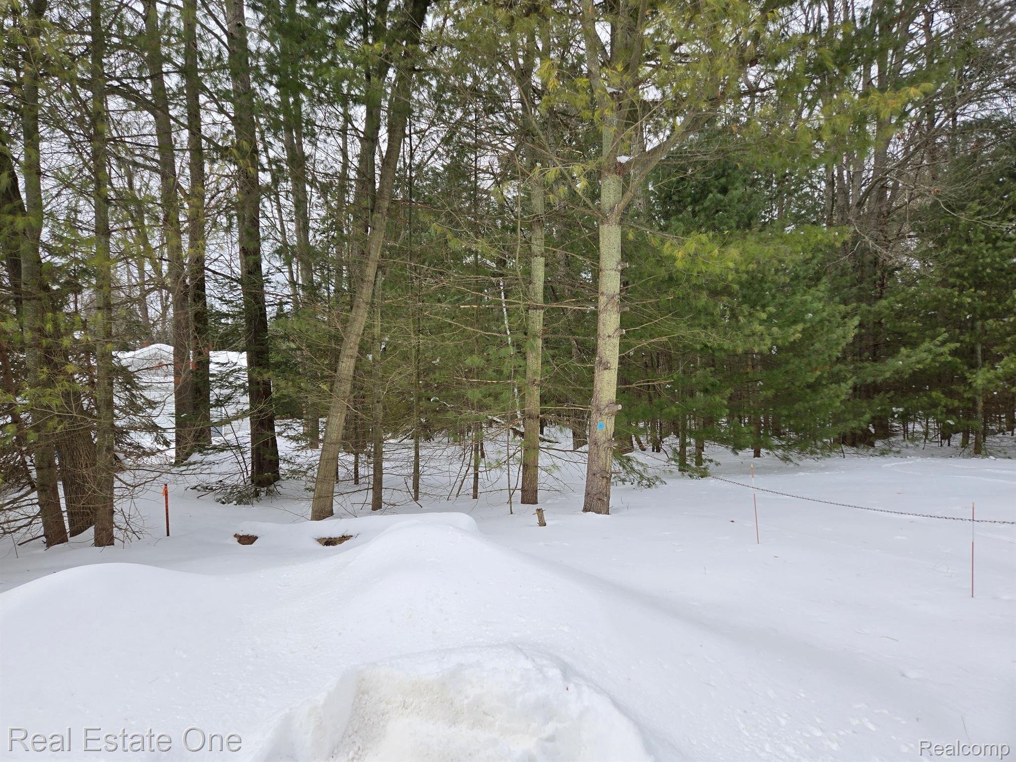 7289 WOODLEA RD