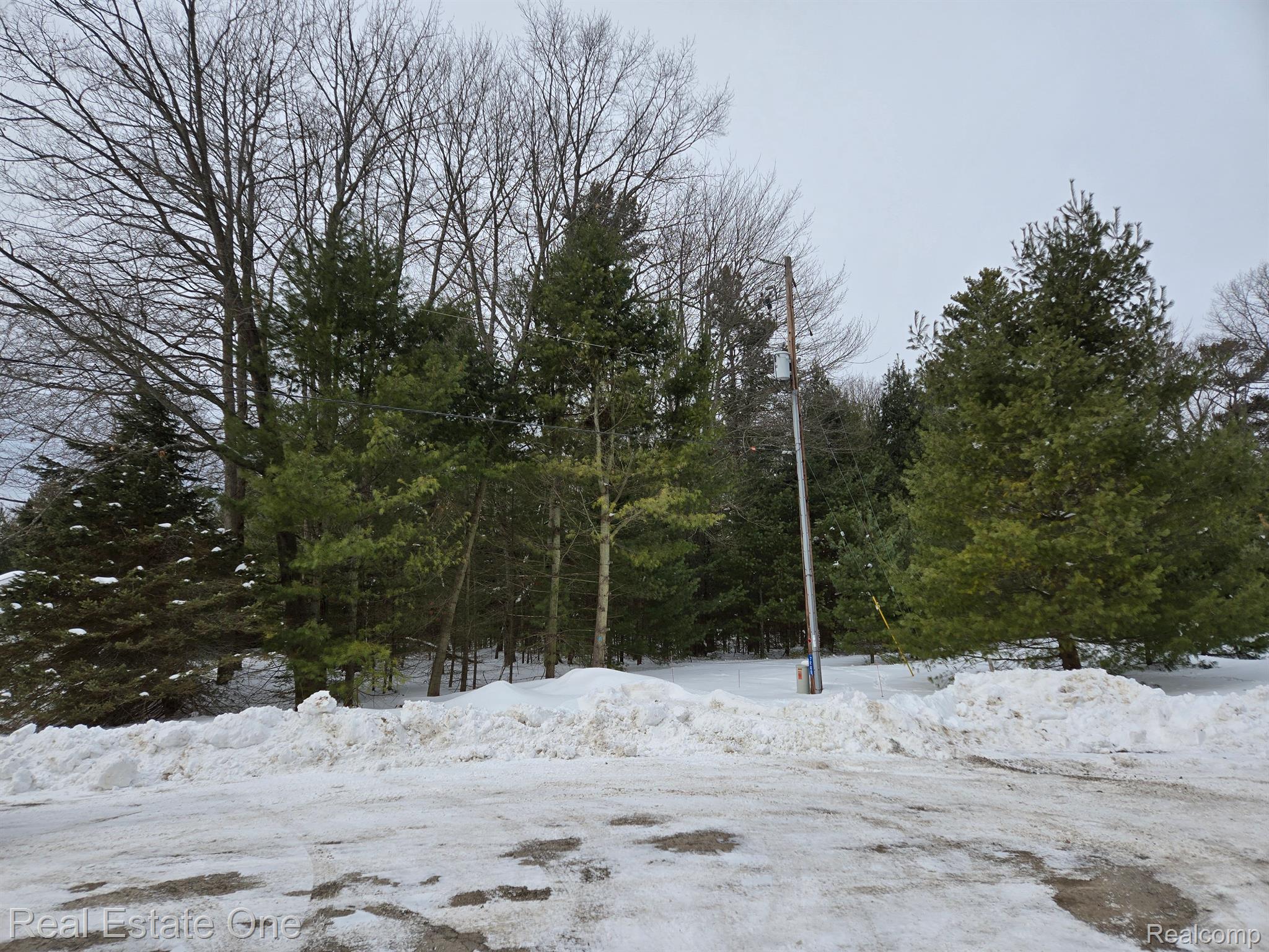 7289 WOODLEA RD
