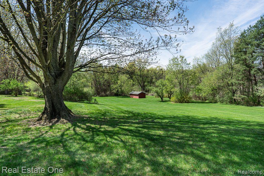 1151 N LIVERNOIS RD
