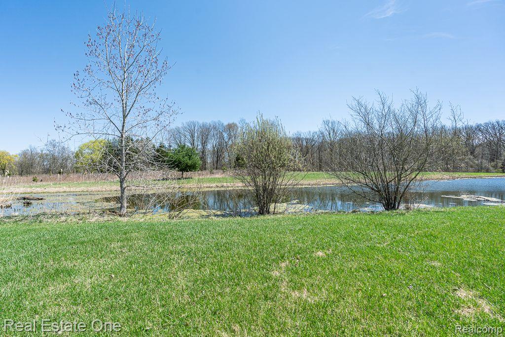 6551 Meldrum RD