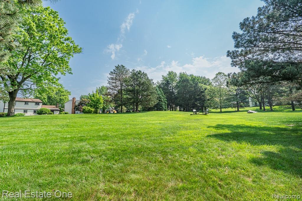 914 Dressler Lane