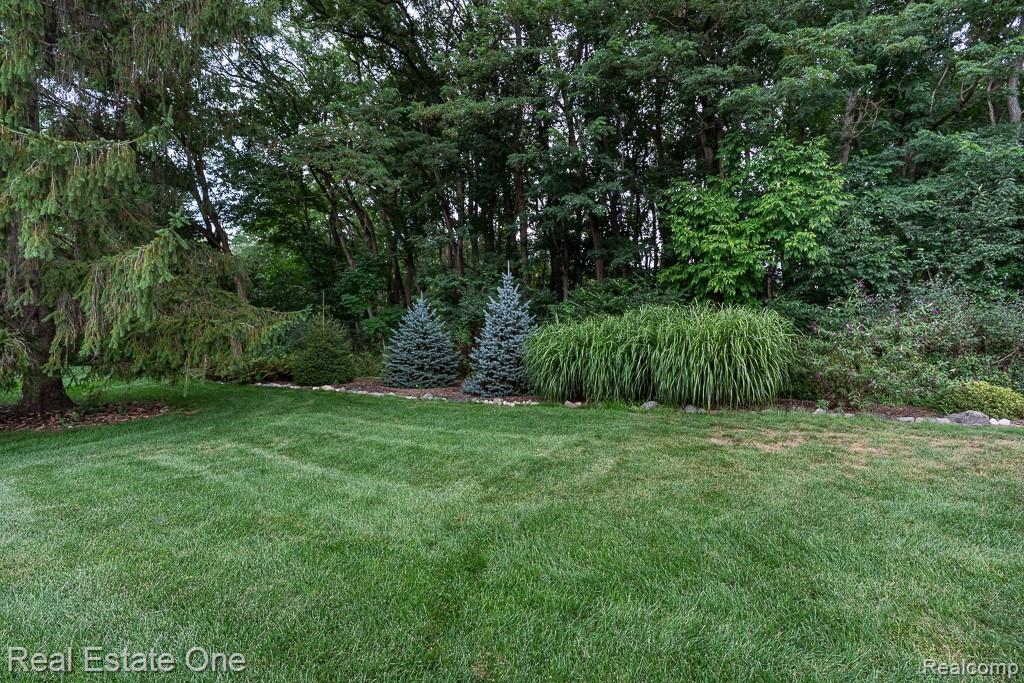 100 Oaklane Drive