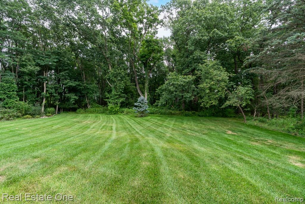 100 Oaklane Drive