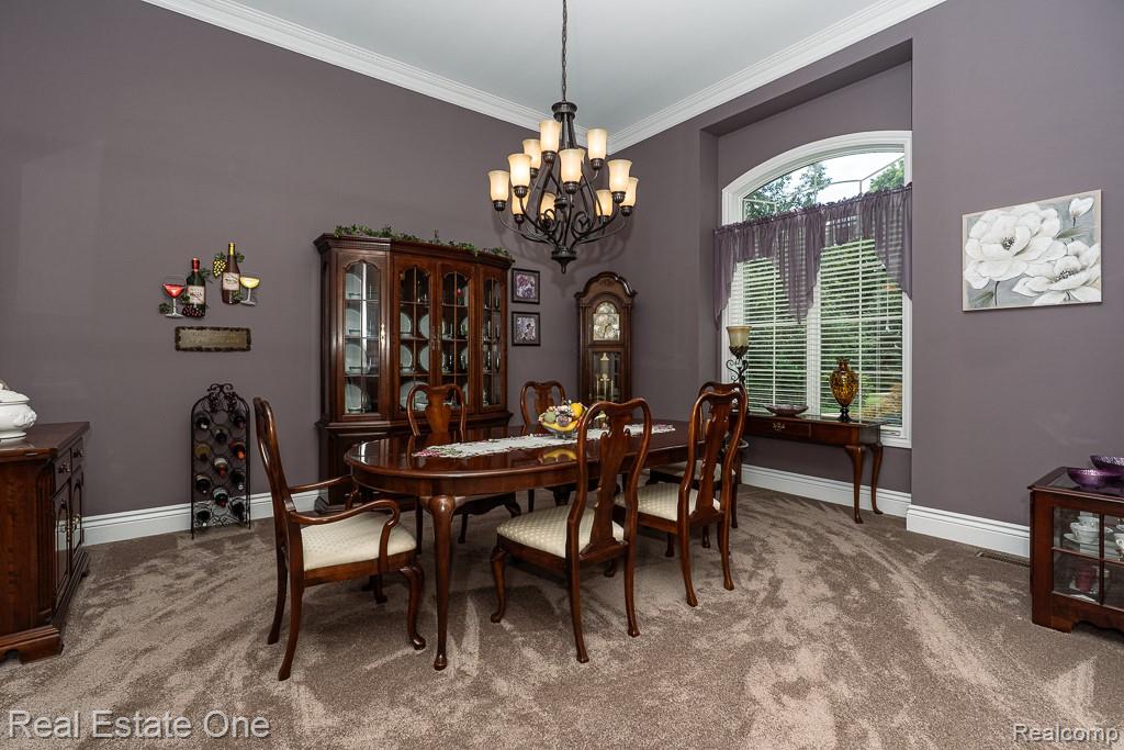 100 Oaklane Drive