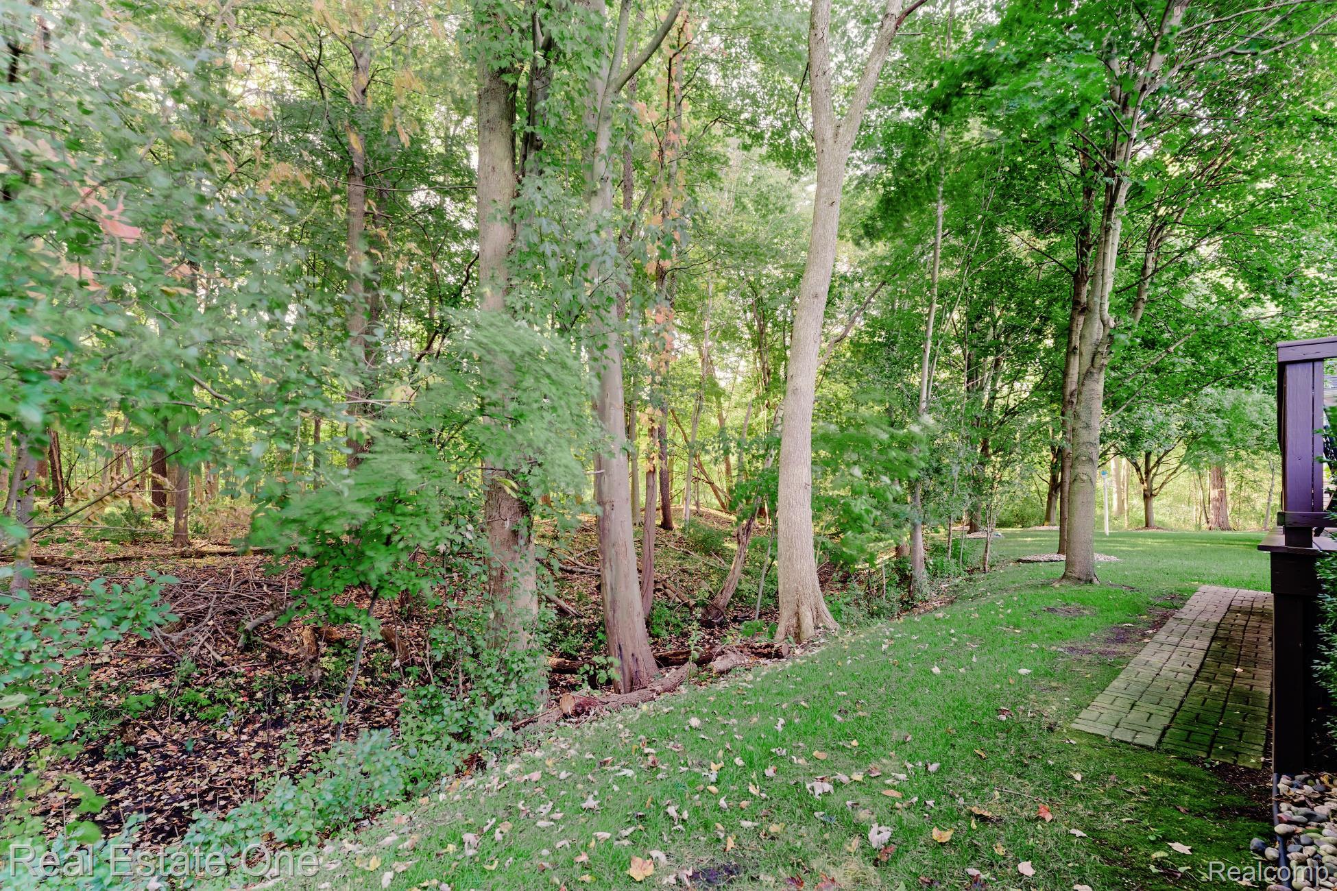 3890 Hillsdale Drive