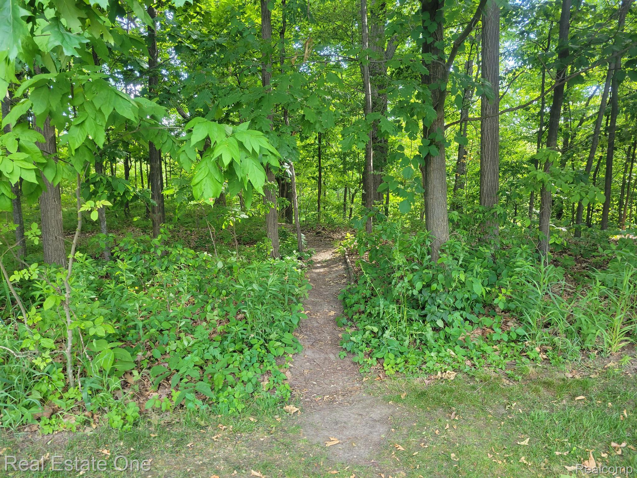 1716 DEEPWOOD Circle Unit: 43