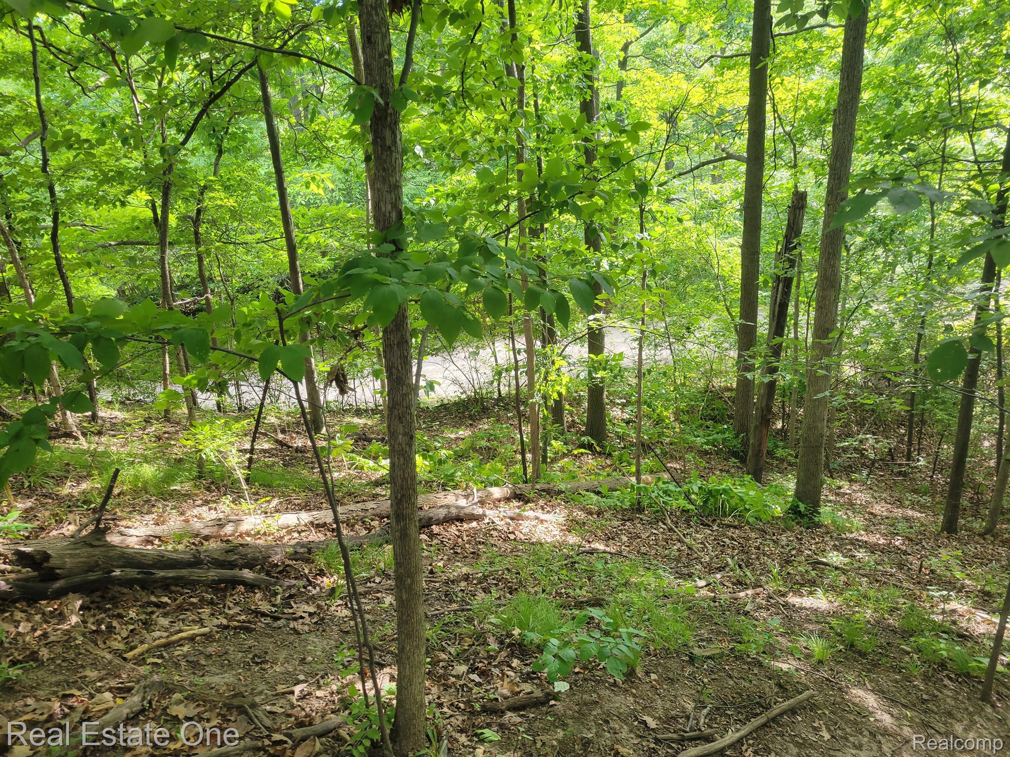 1716 DEEPWOOD Circle Unit: 43