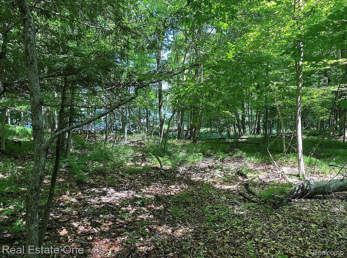 23007 Miramichi Drive