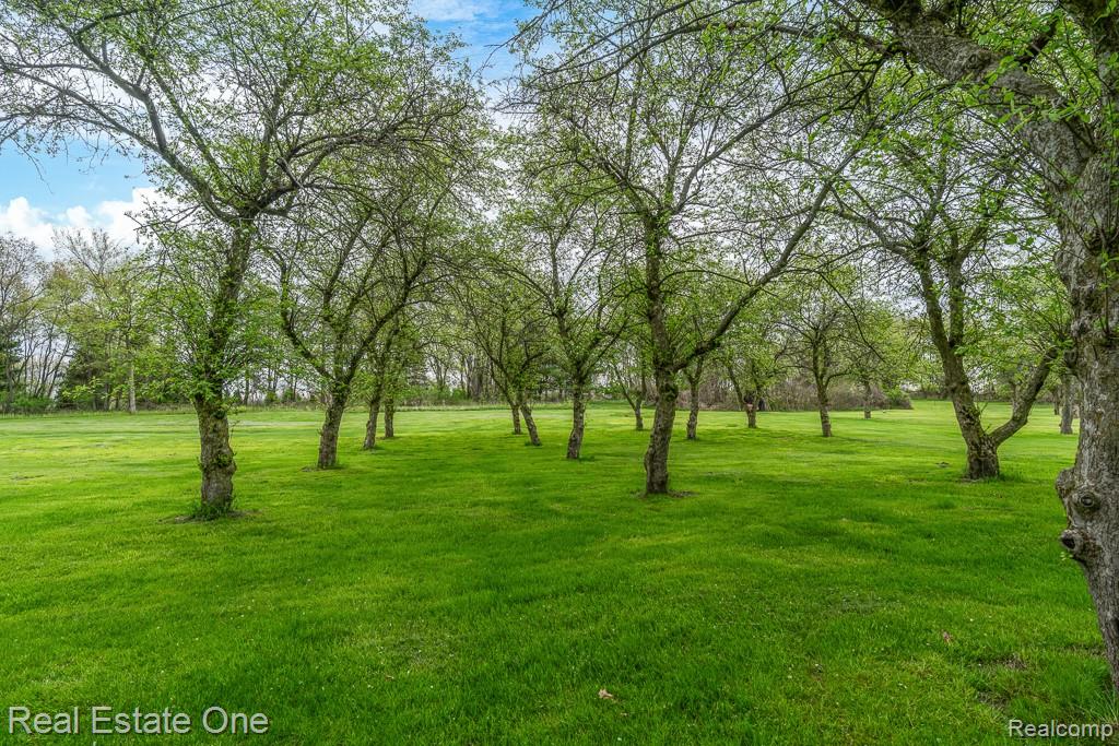 78642 Harvest Lane