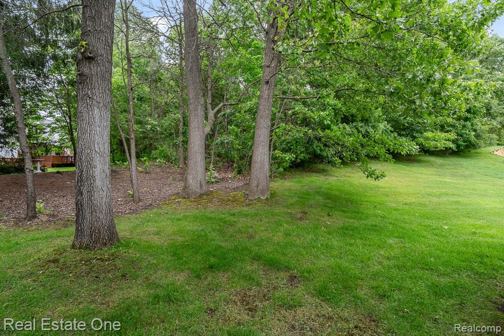 6595 Scenic Pines Court