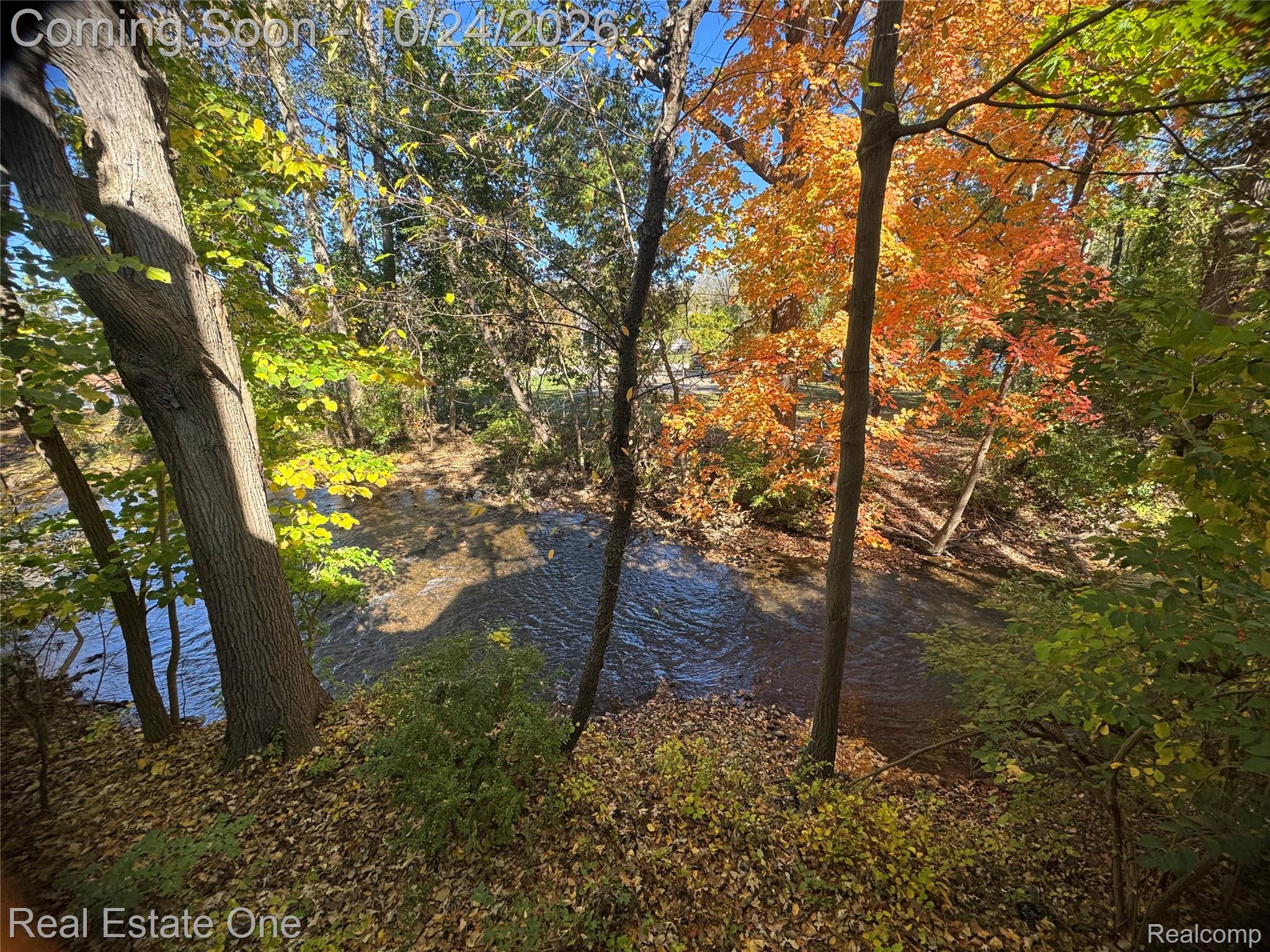 1069 Paint Creek LN # 394