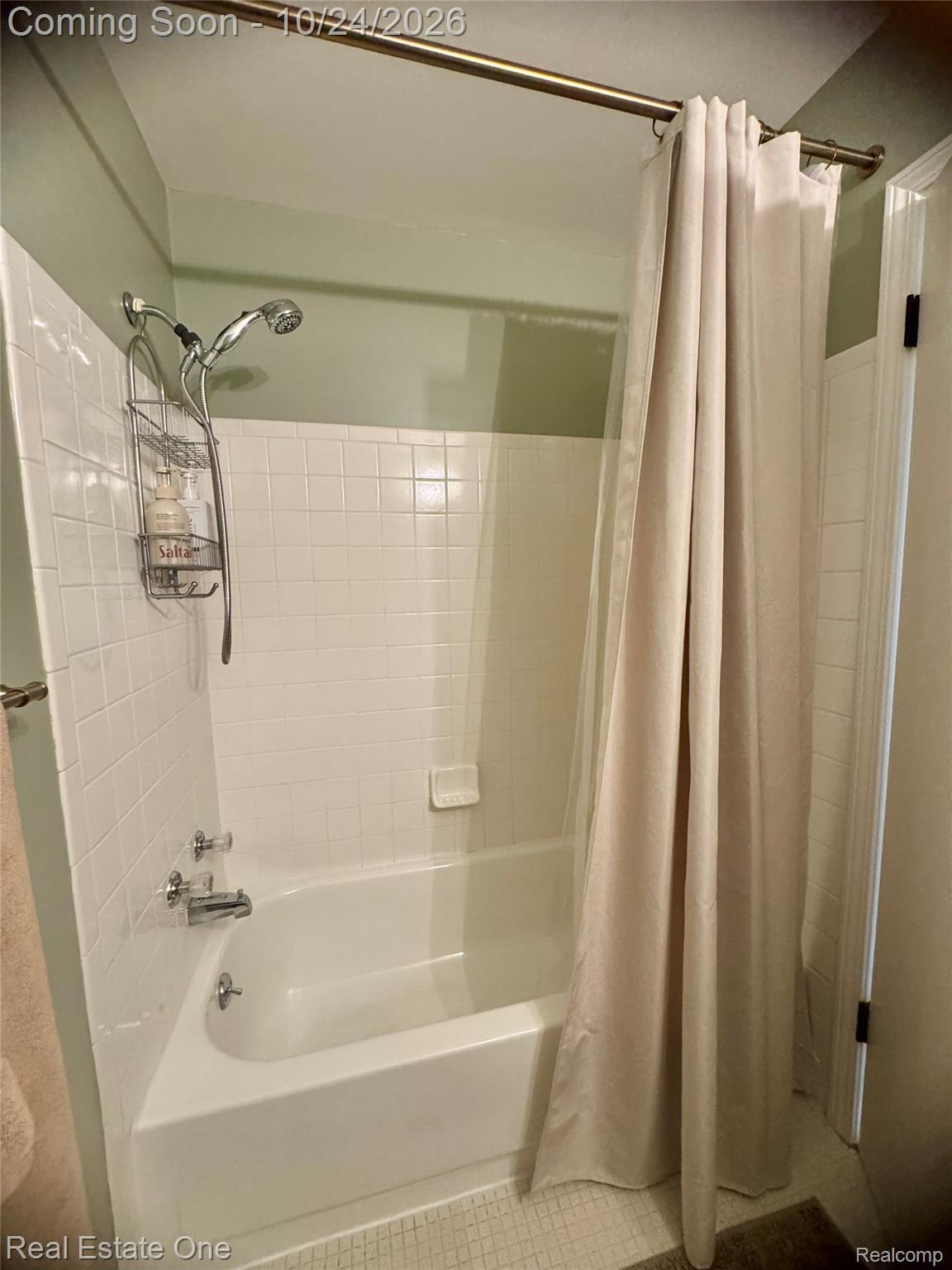 1069 Paint Creek LN # 394