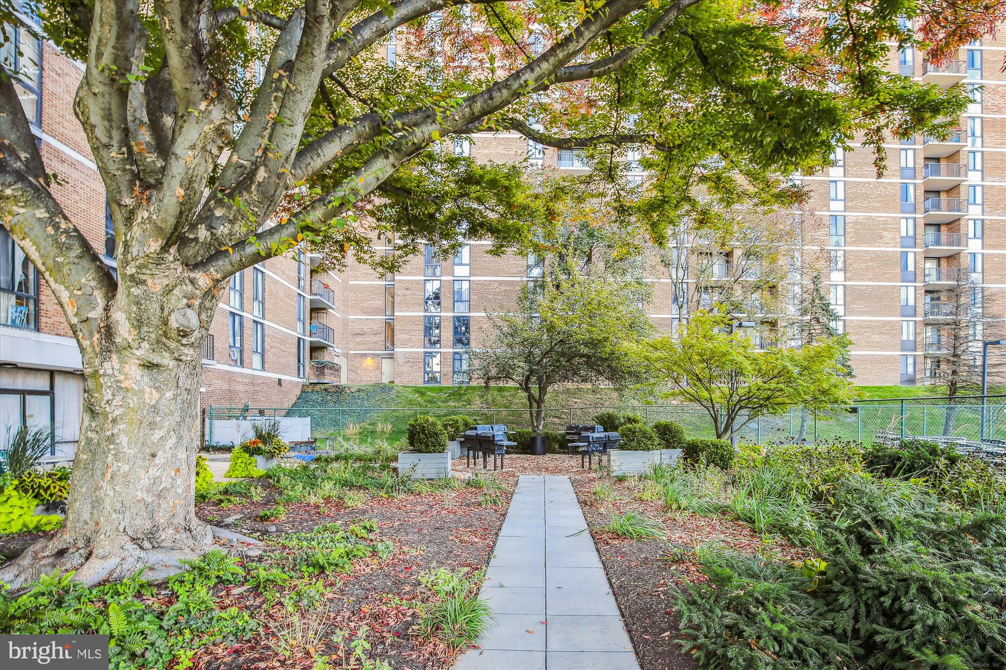 2300 Pimmit DRIVE Unit: 707