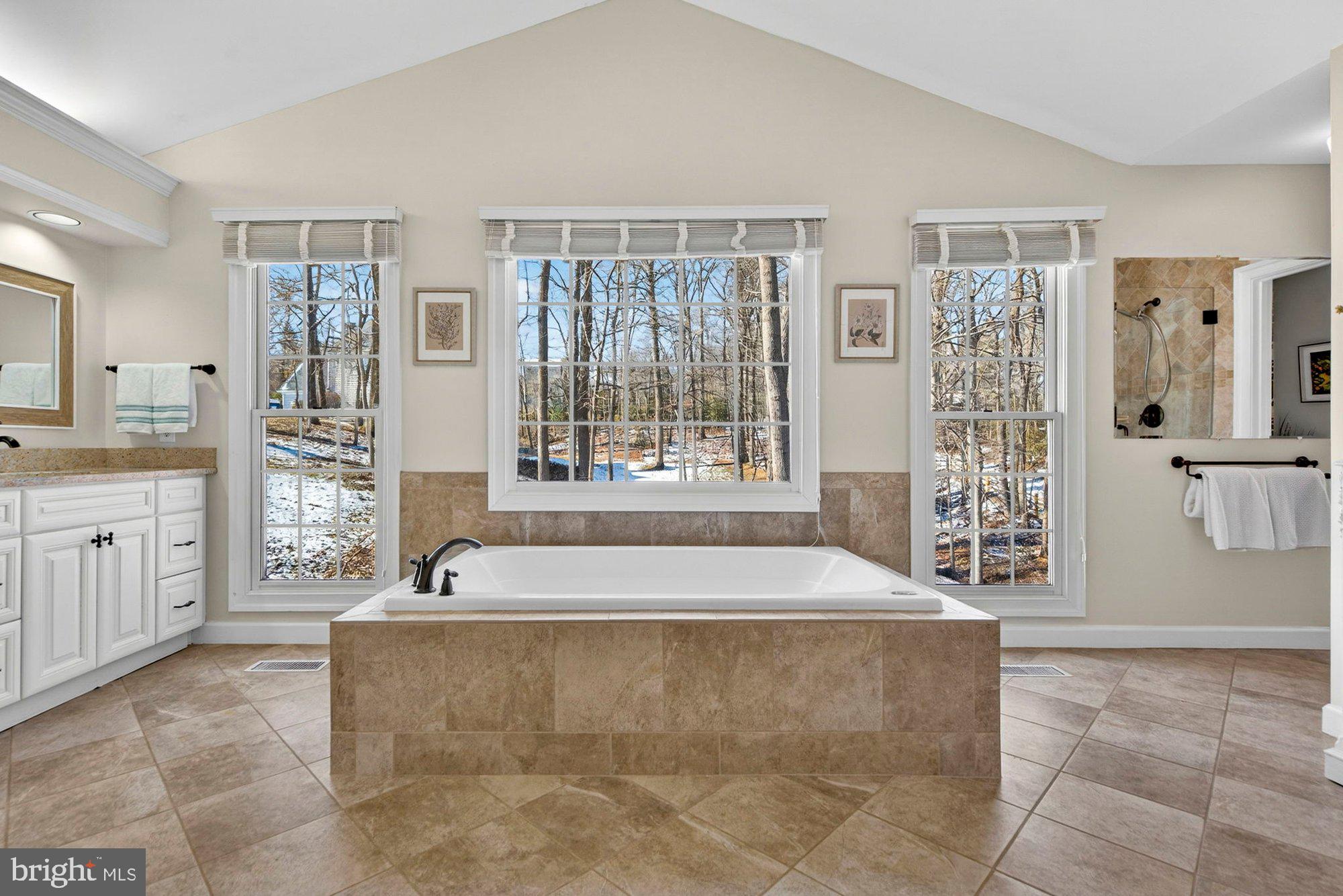 11732 SADDLE CRESCENT CIRCLE