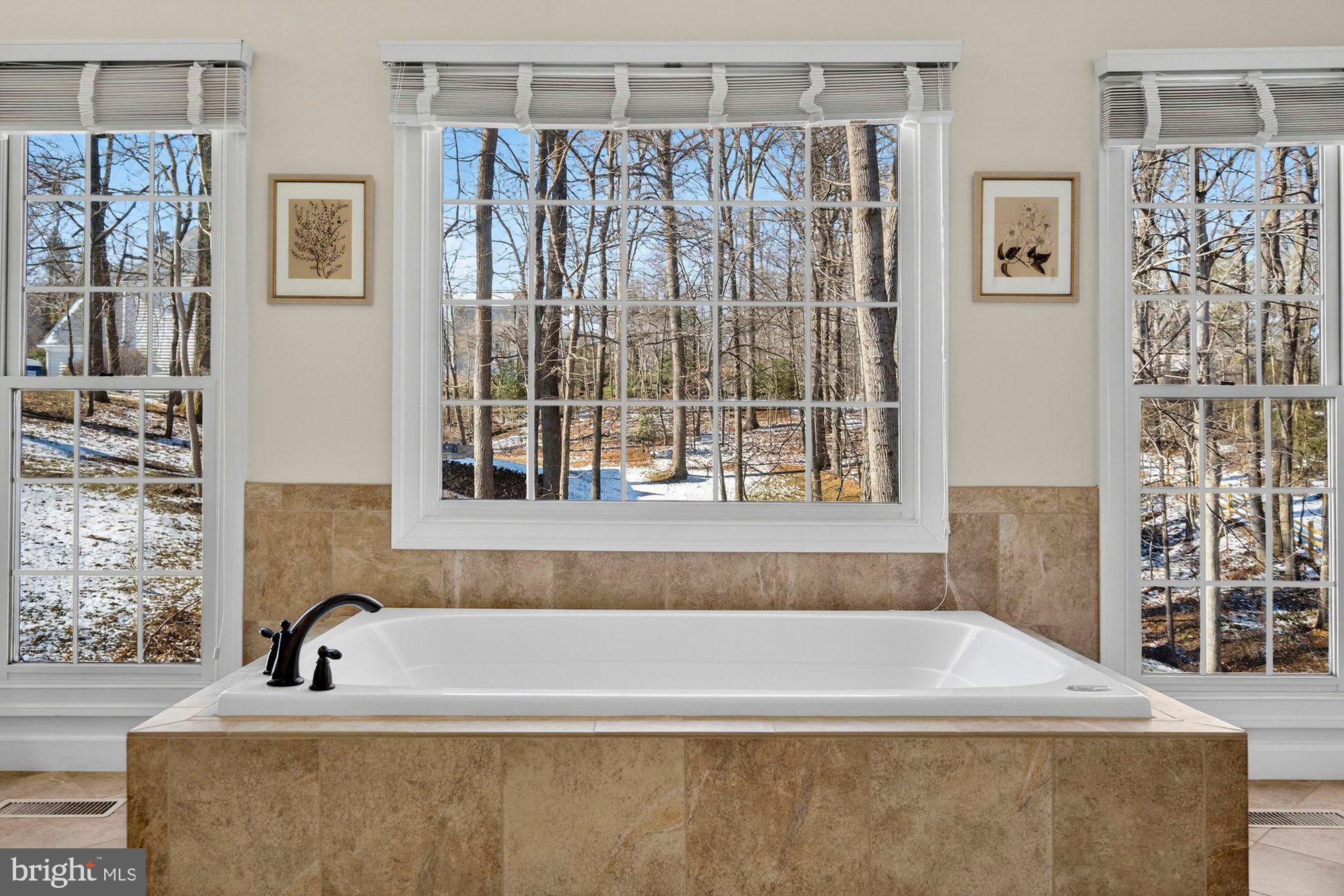 11732 SADDLE CRESCENT CIRCLE