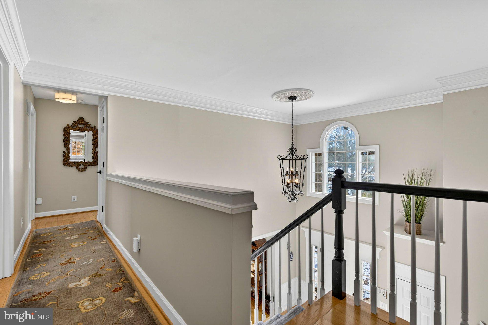 11732 SADDLE CRESCENT CIRCLE