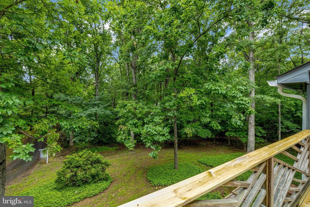 1132 SPRINGVALE ROAD