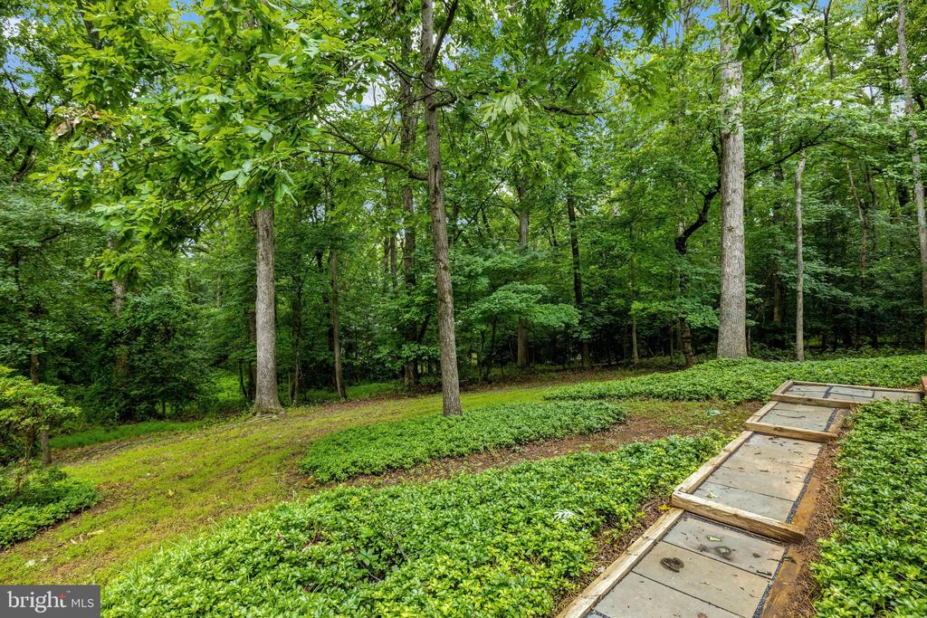 1132 SPRINGVALE ROAD