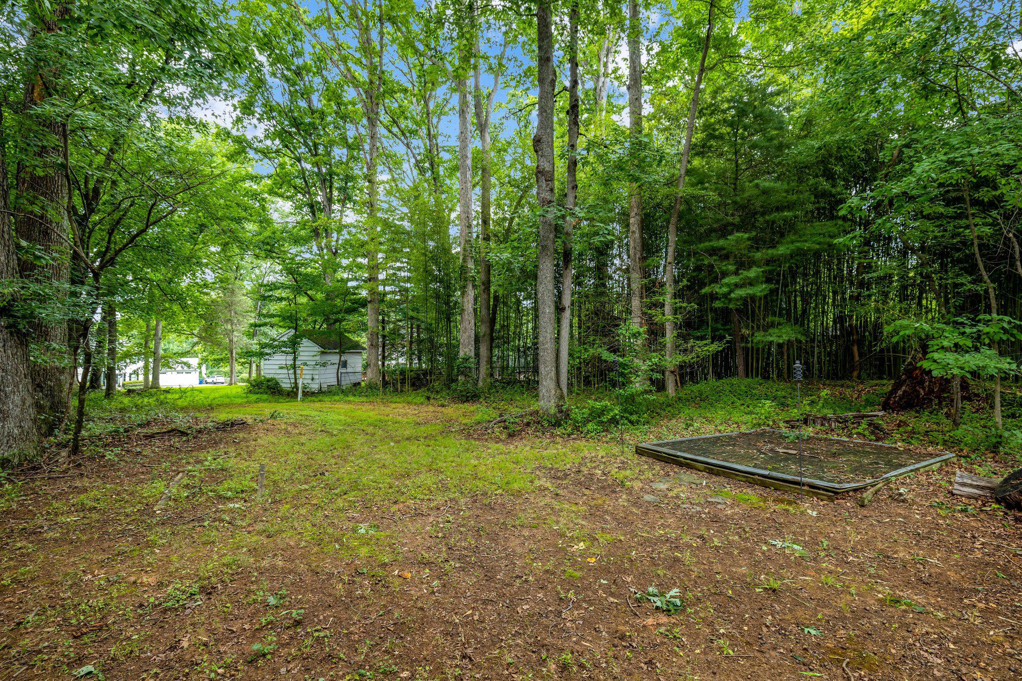 1132 SPRINGVALE ROAD