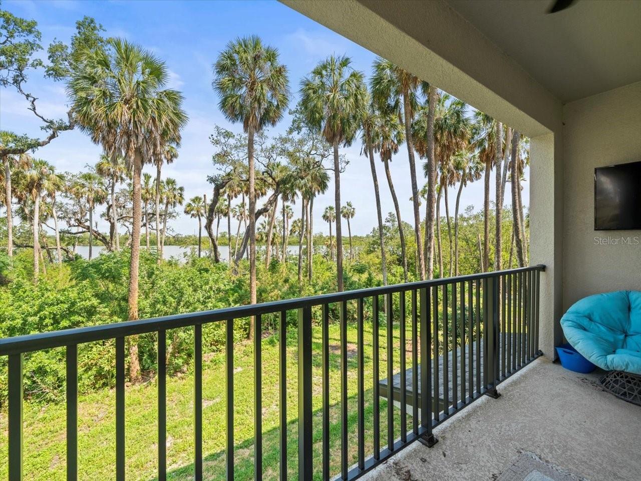 4740 TUSCAN LOON DR