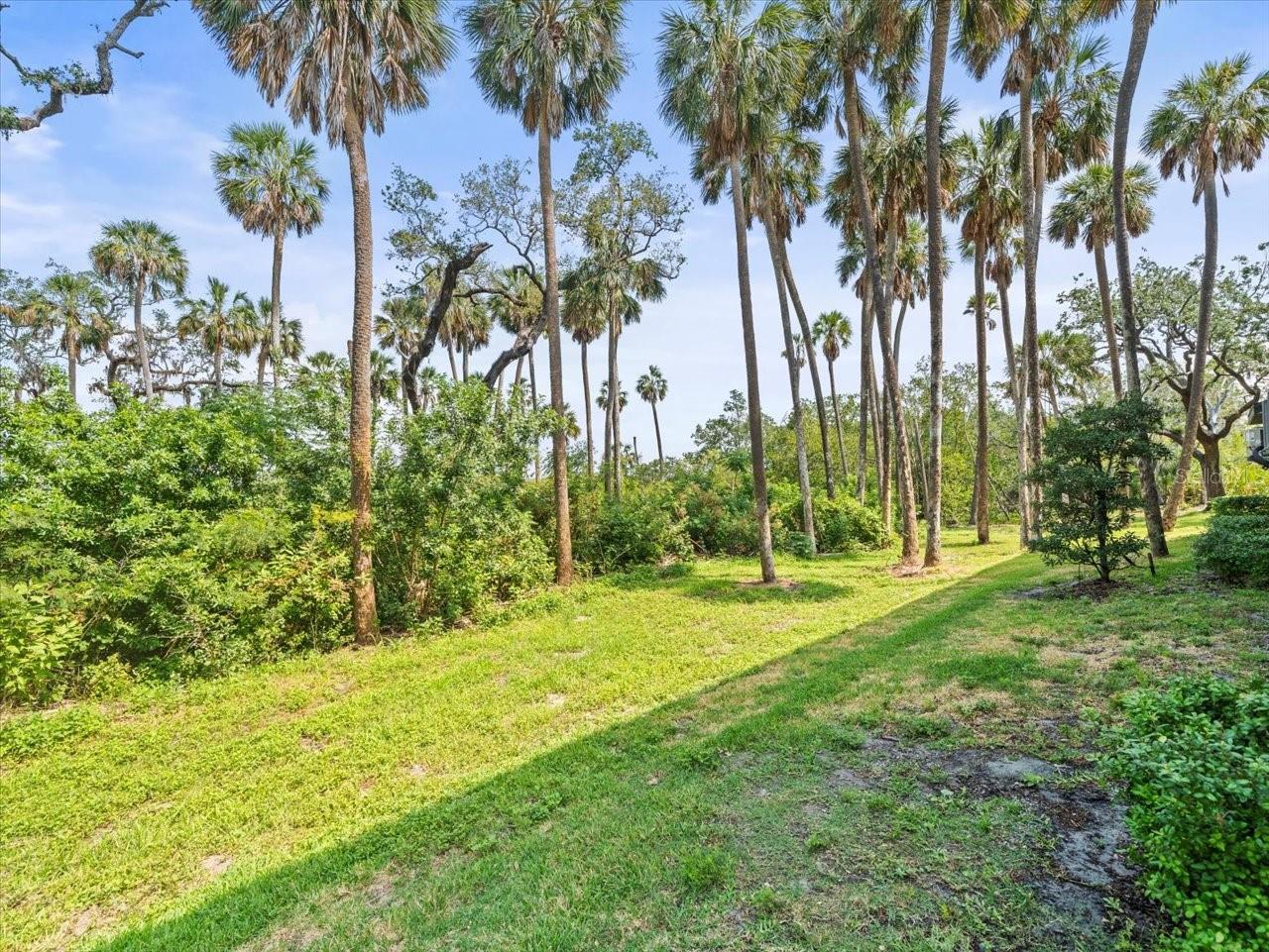 4740 TUSCAN LOON DR