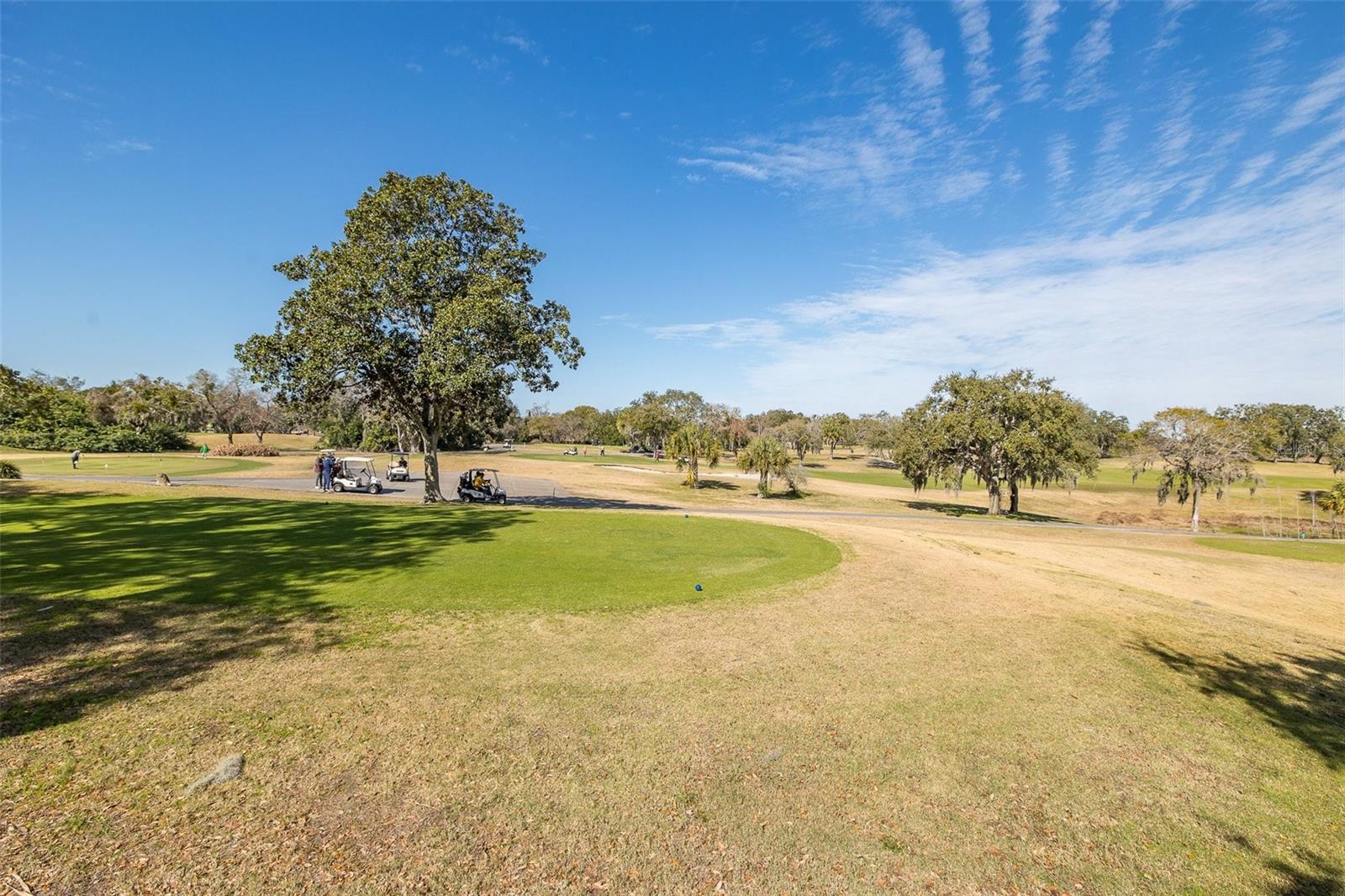 7417 GREYSTONE DR #7417