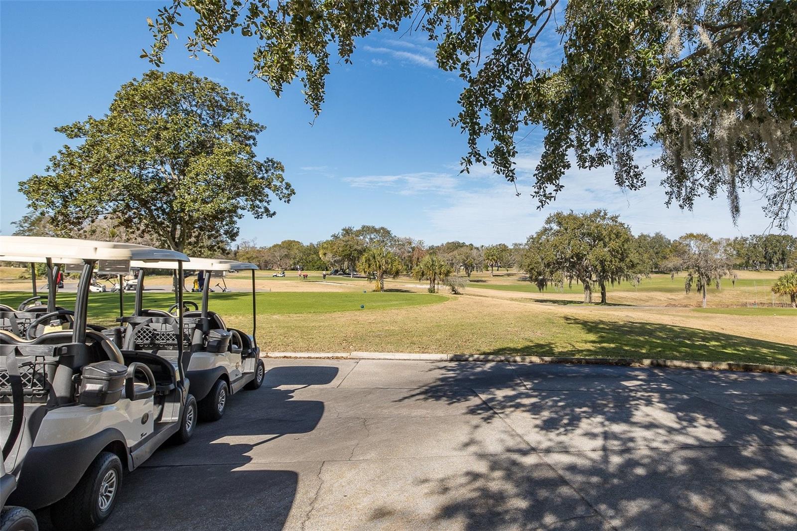 7417 GREYSTONE DR #7417