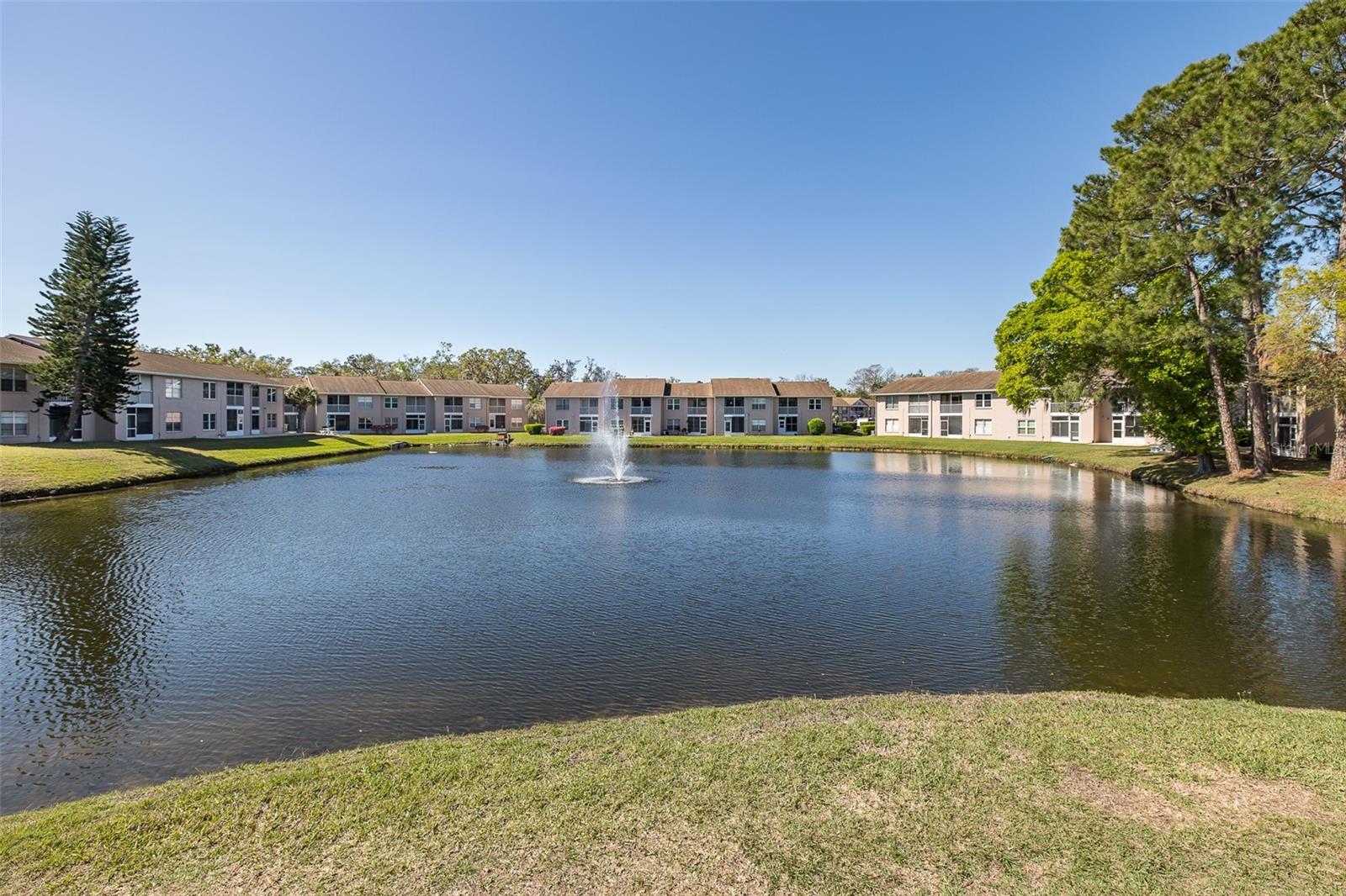 4933 MYRTLE OAK DR #23