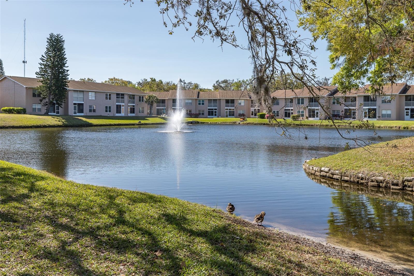 4933 MYRTLE OAK DR #23