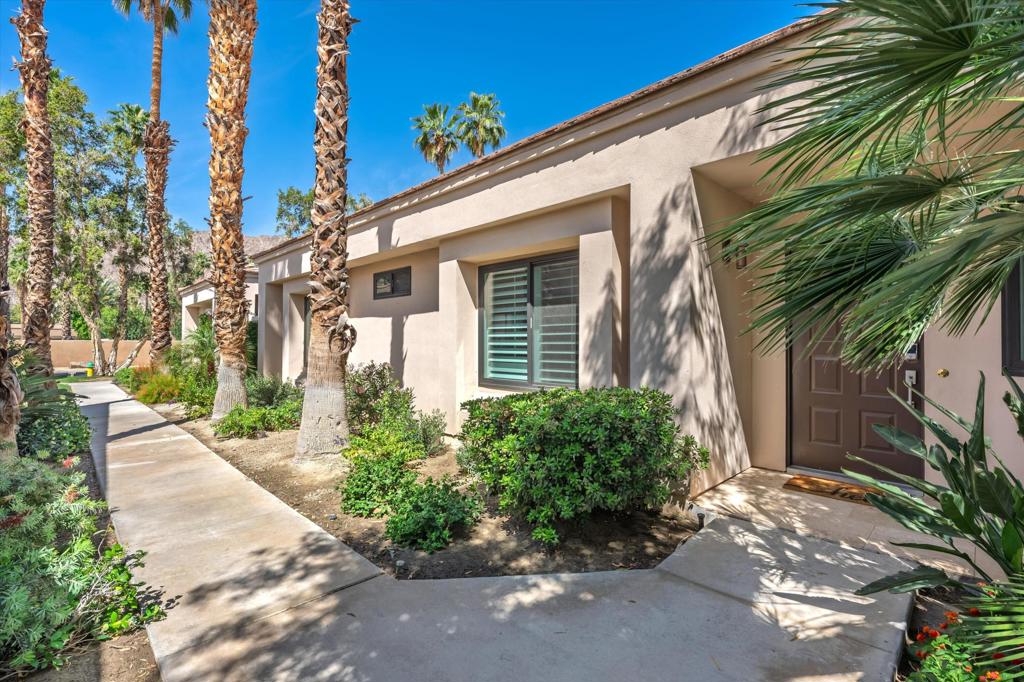 55080 Oak Tree A17
