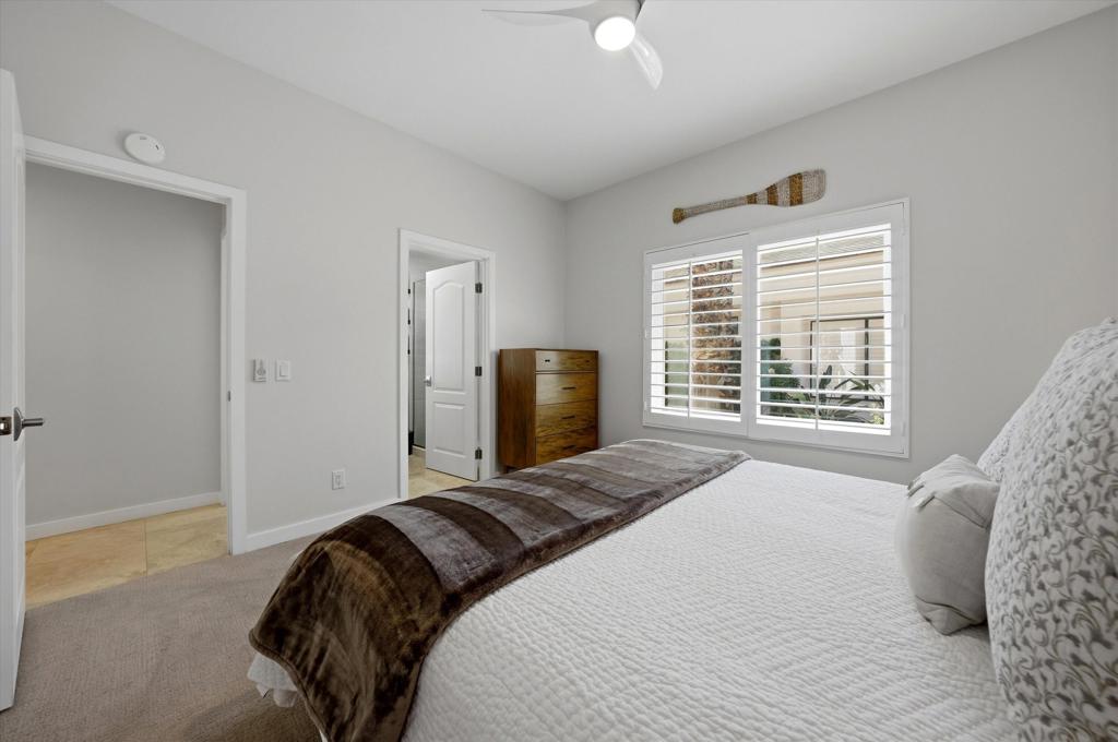 55080 Oak Tree A17