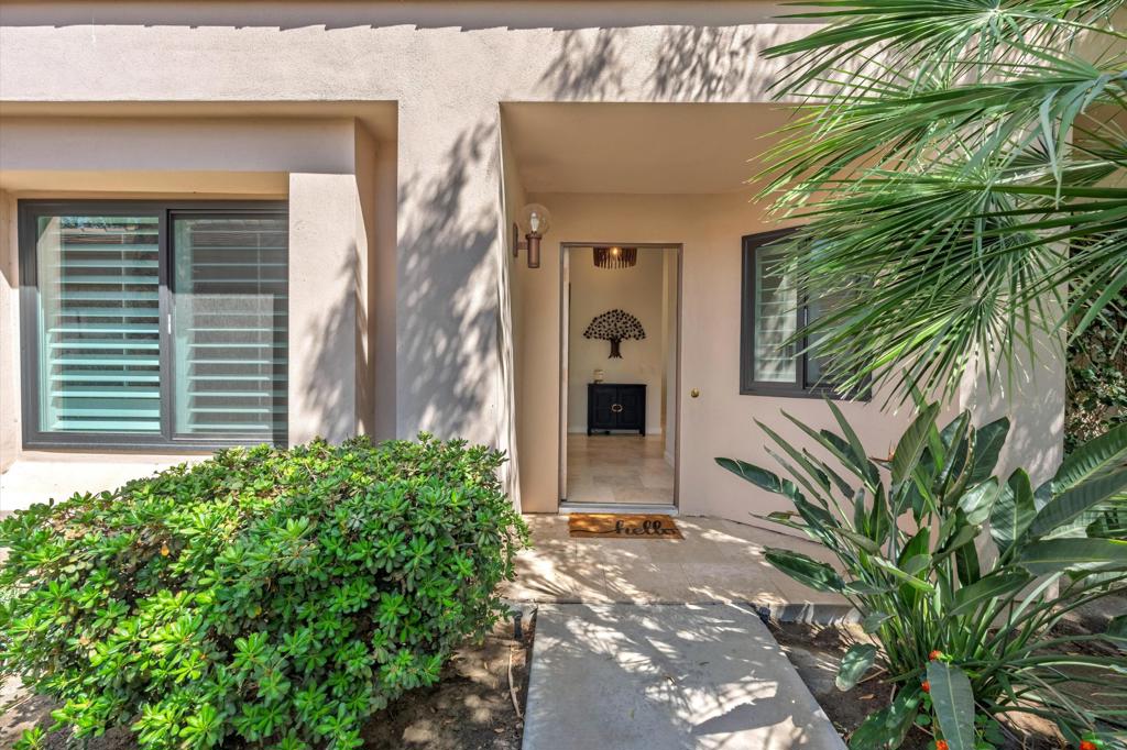 55080 Oak Tree A17