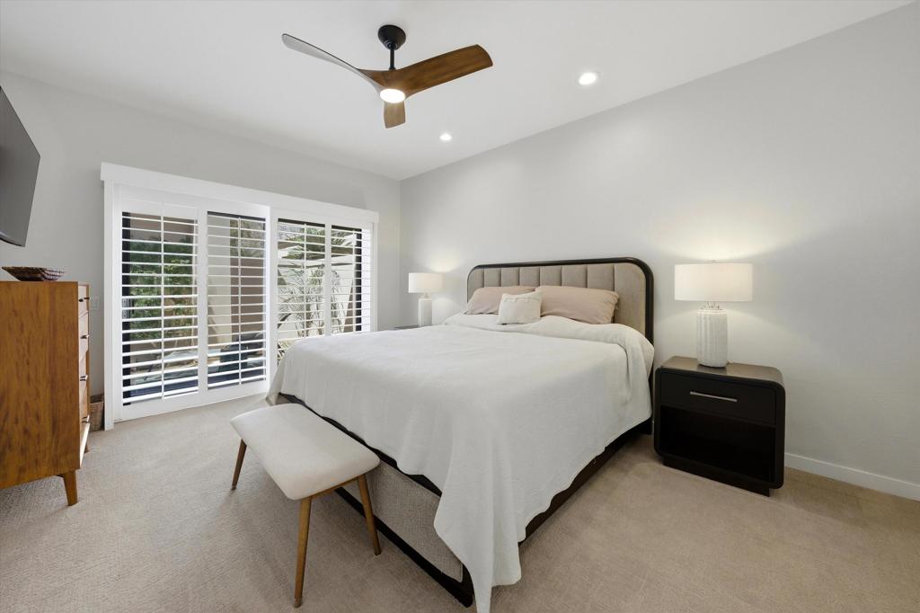 55080 Oak Tree A17