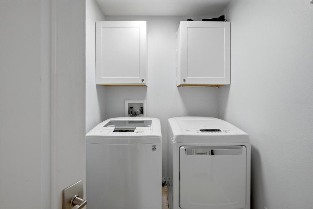55080 Oak Tree A17