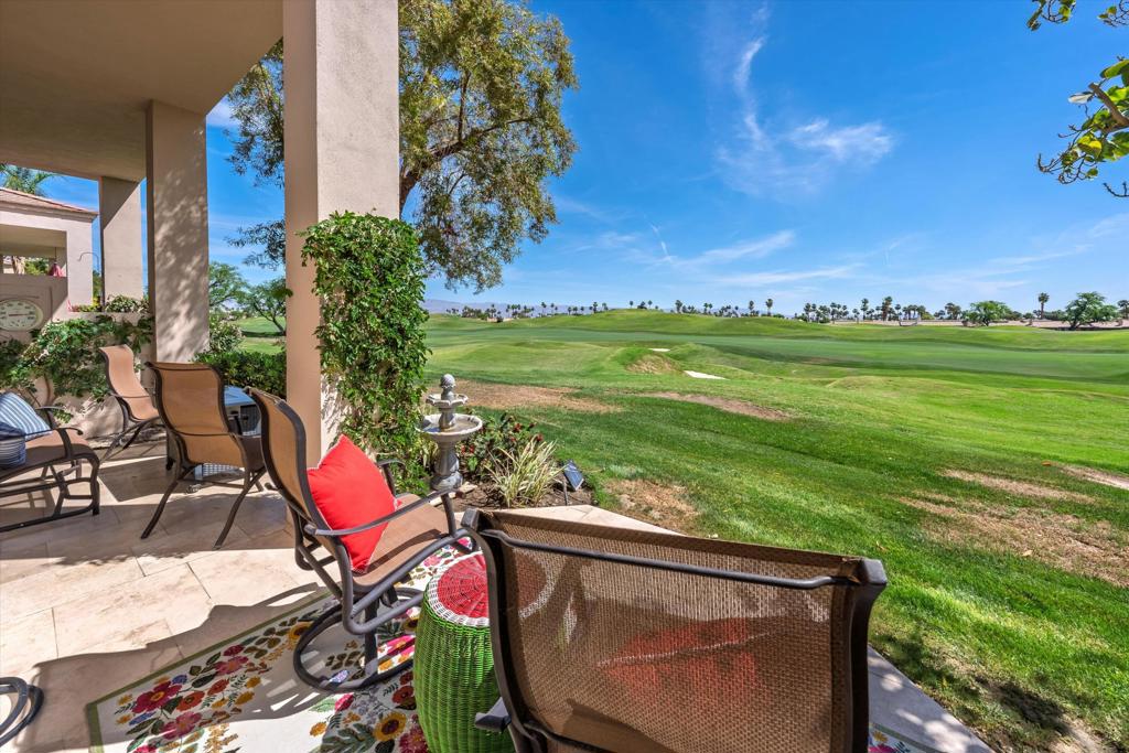55080 Oak Tree A17
