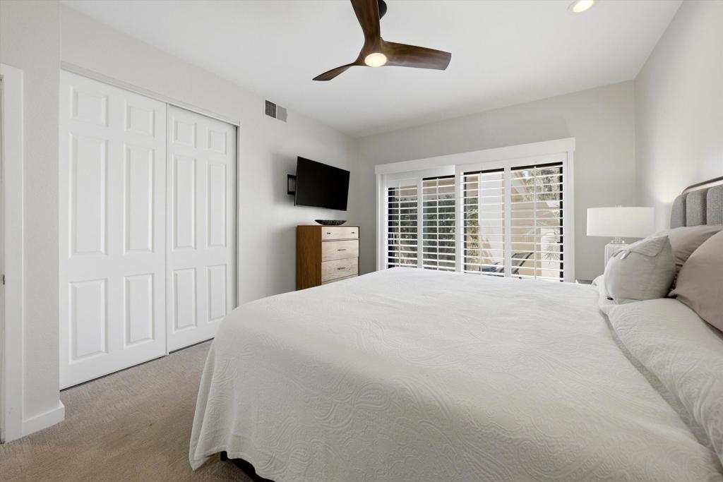 55080 Oak Tree A17