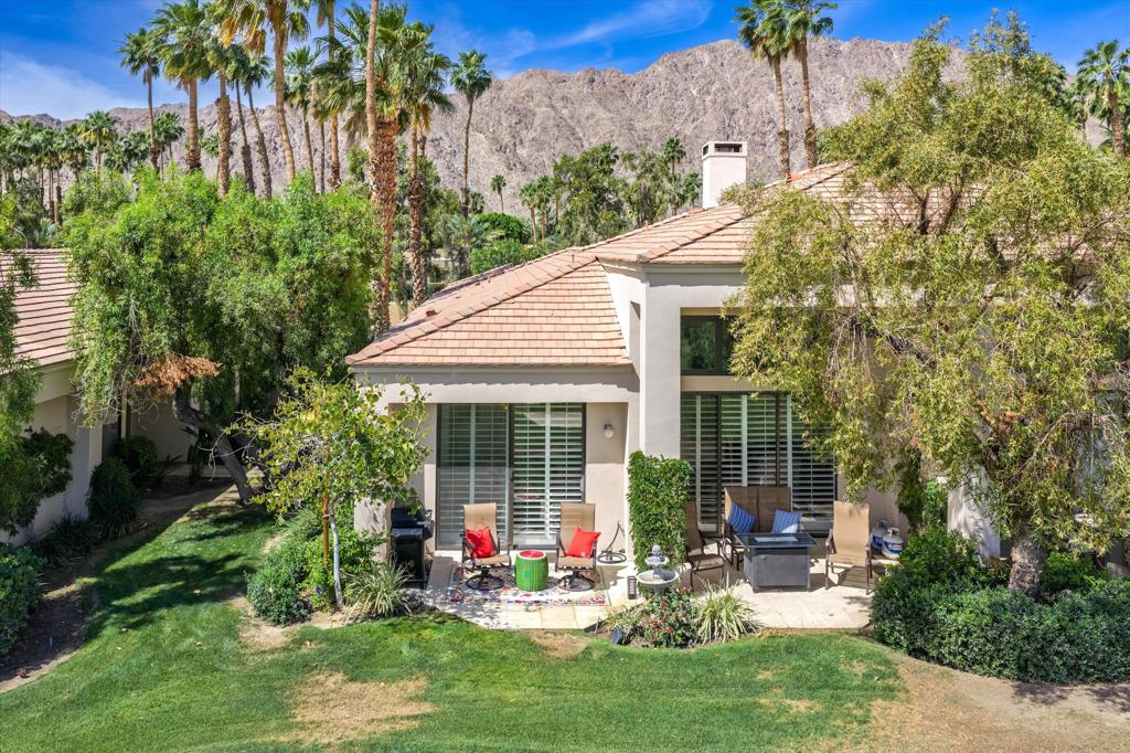 55080 Oak Tree A17
