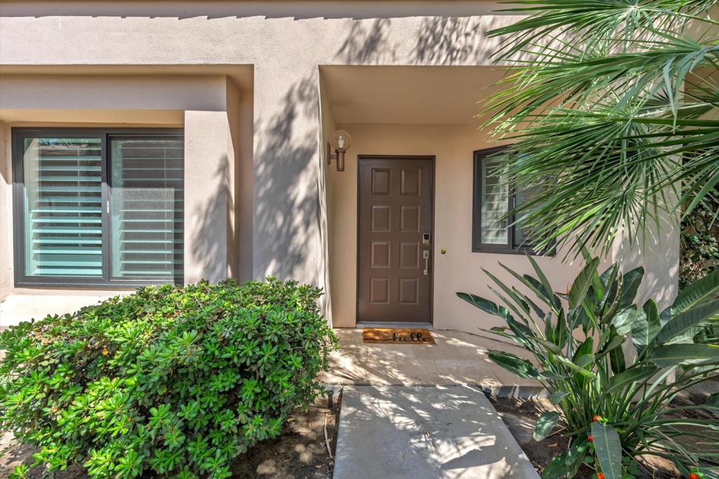 55080 Oak Tree A17