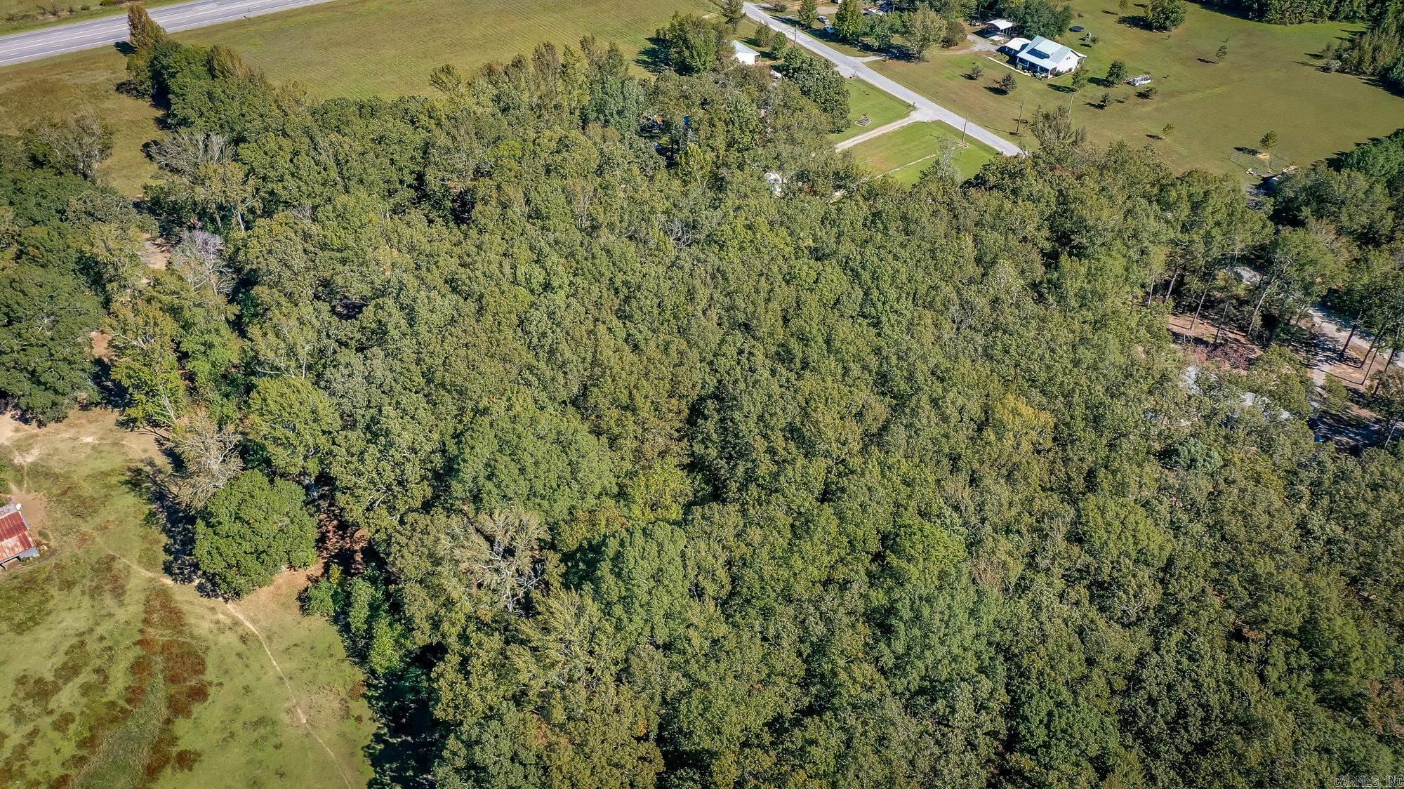 197 Jones Loop