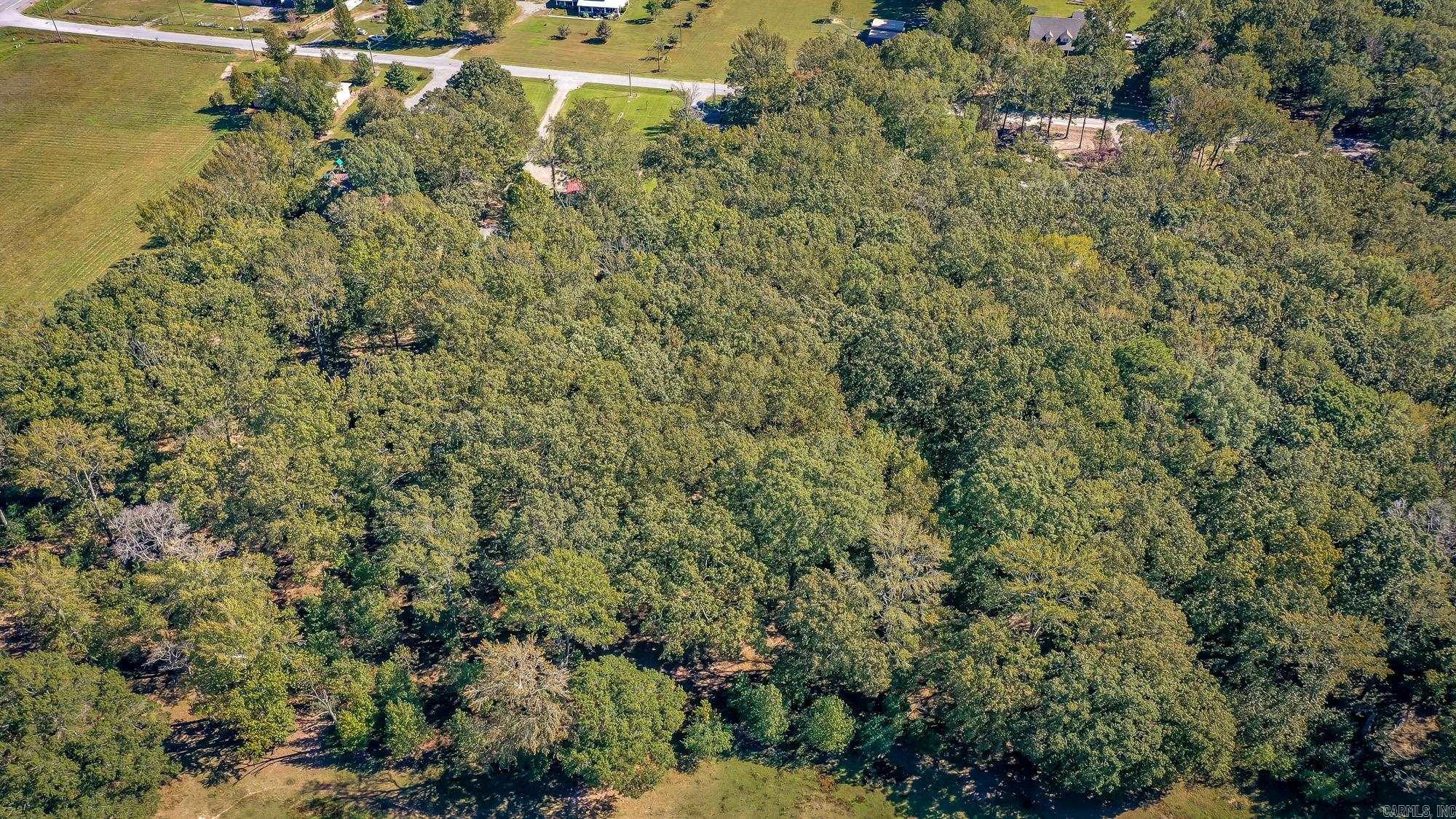 197 Jones Loop